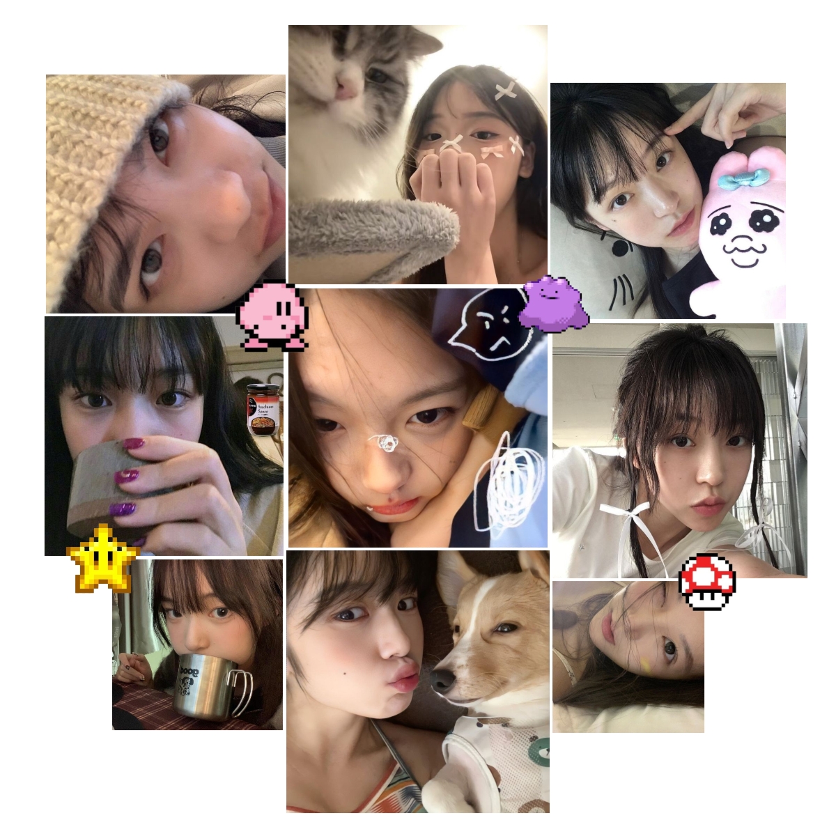 Cover Picture