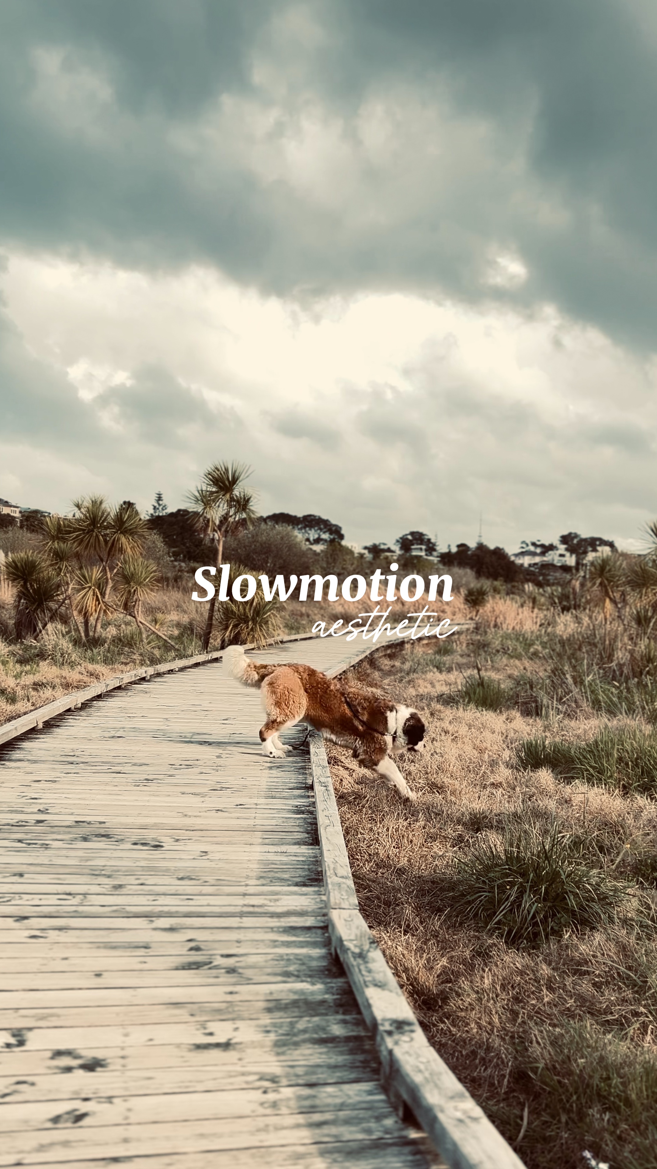 Aesthetic ng Slowmotion