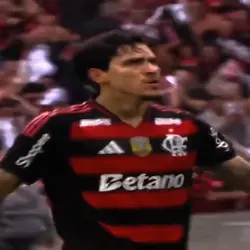Flamengo x Palmeiras