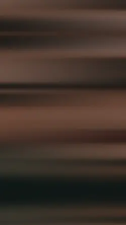 stopmotionfyp 
