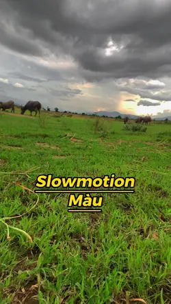 Slowmotion màu