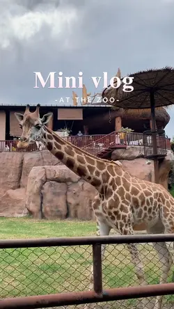 Mini vlog zoo