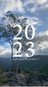 2023 recapitulação 