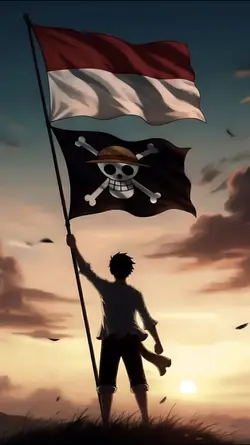Indonesia x OnePiece