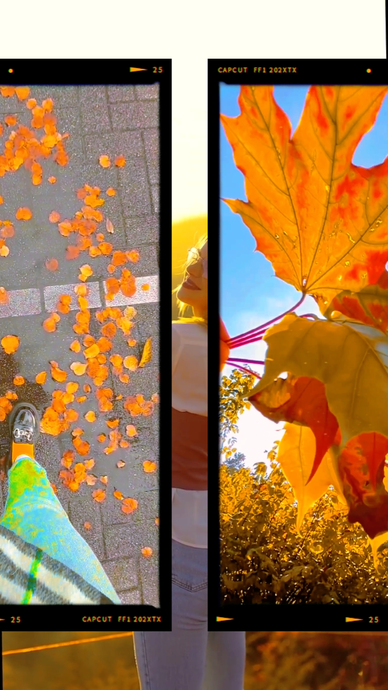 HII AUTUMN 