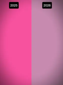 2025 vs 2026