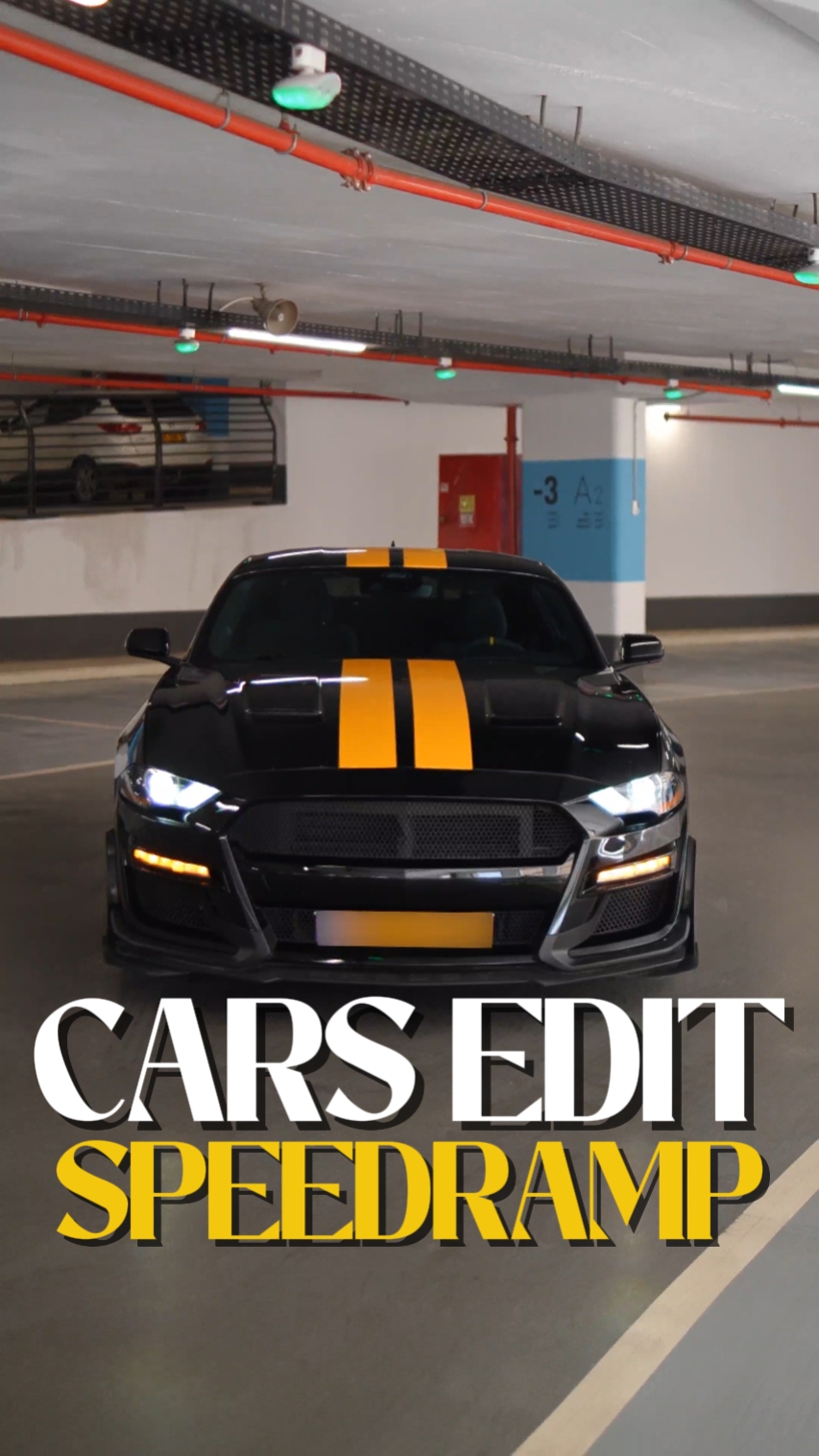 Edición de coches