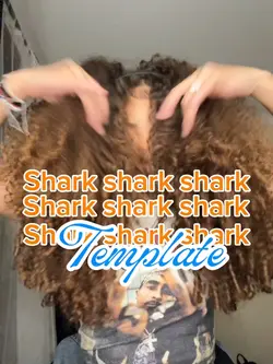 Shark shark shark