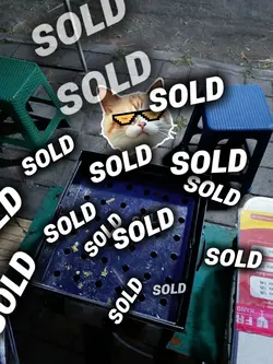 sold