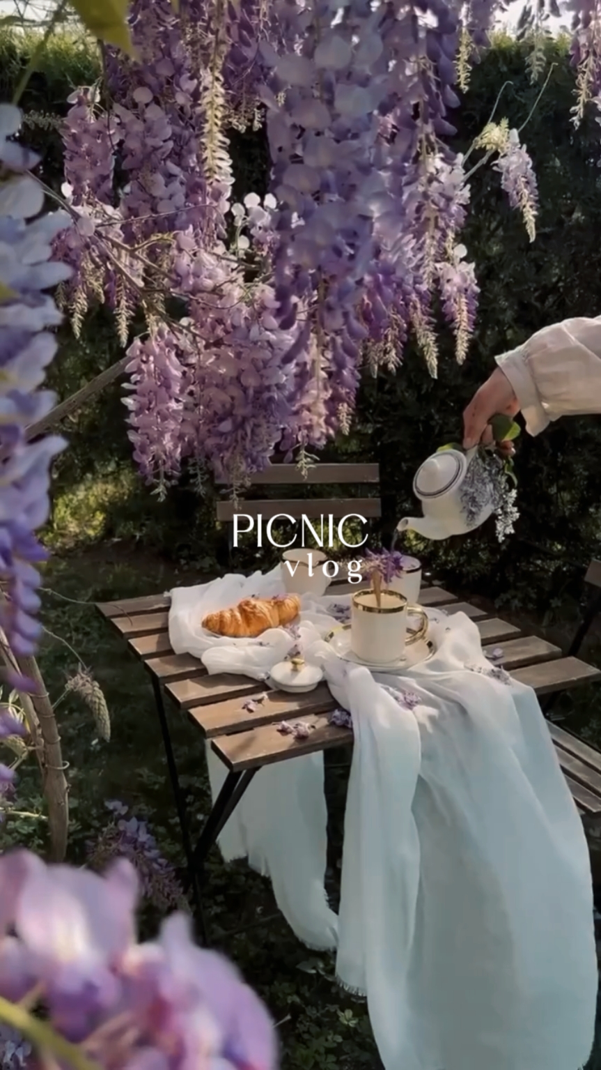 Piknik Vlog 'u