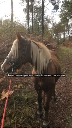 C’est aussi simple 