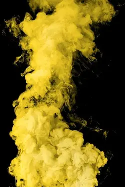 Black & Yellow