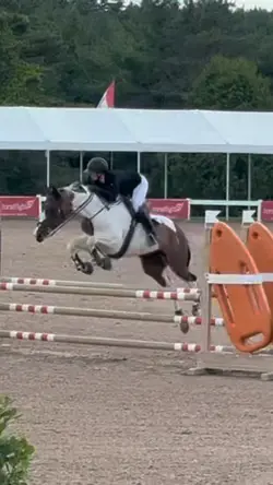 Reserve champ