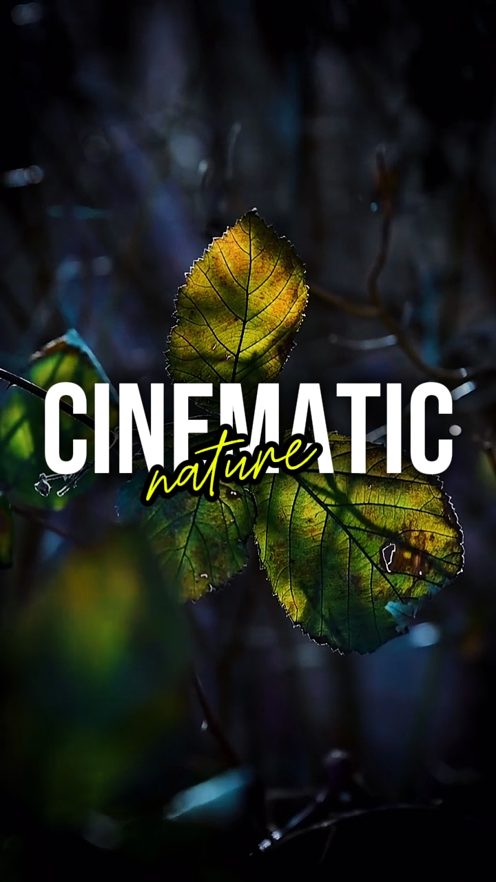 CINEMATIC NATURE