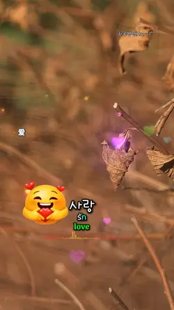 하루명언 솔지 나를사랑하는사랑