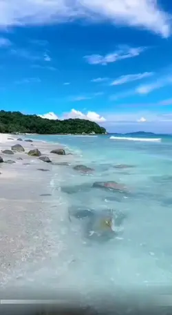 無人的島  DJ班