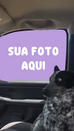 UNCOMFORTABLE DOG
