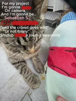 Archie’sfinalproject