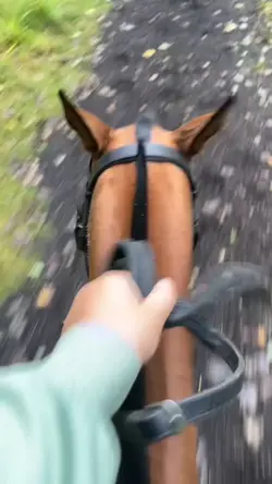 Galloping!!
