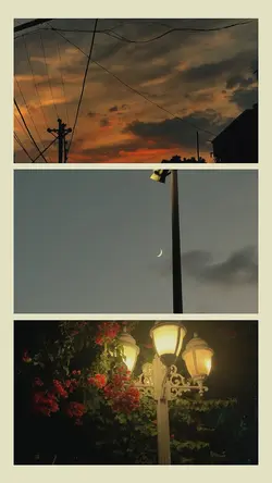 3pics