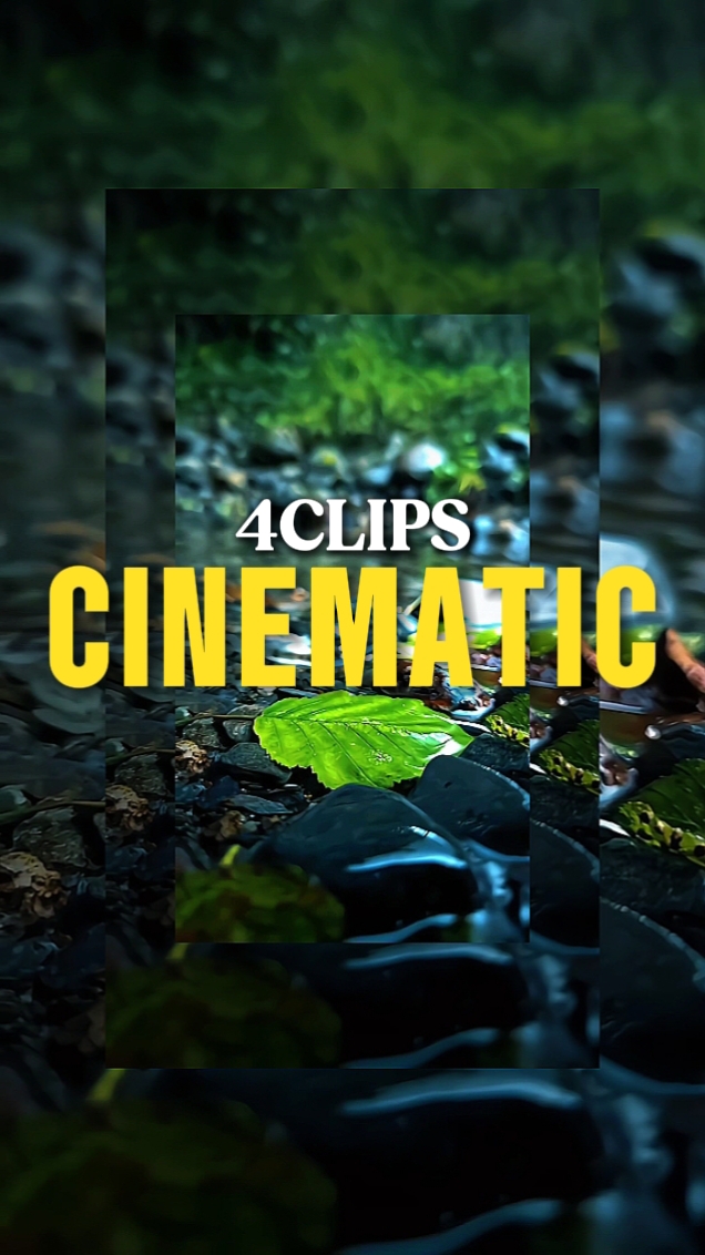 nature in 4 videos