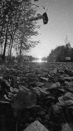 SlowMo ☀️☀️☀️