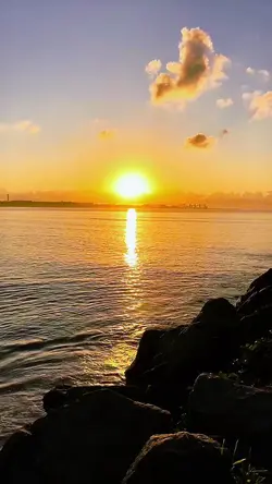 mab8 tas lo2kohin mo