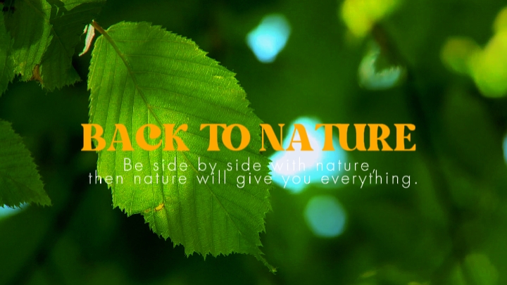 Doğaya dönüş 