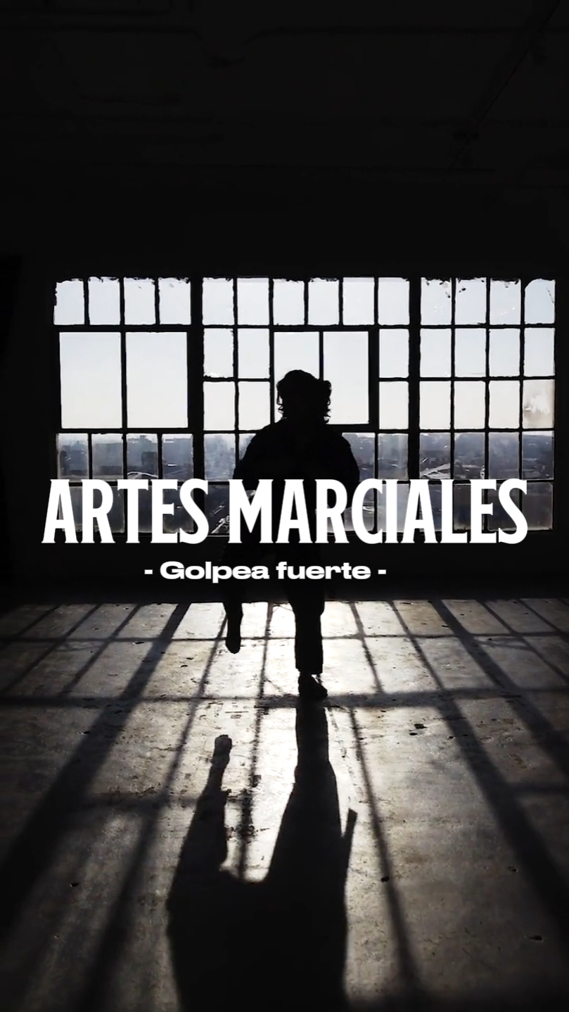Artes Marciales