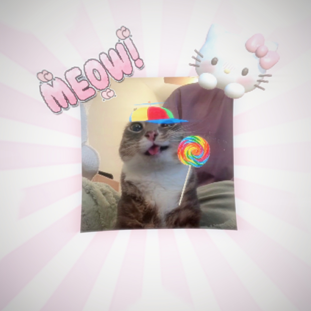 Miau Miau