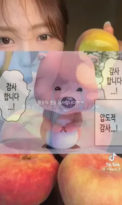 스펙공.