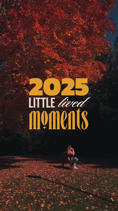 지금까지 2025 🇺🇸🍂