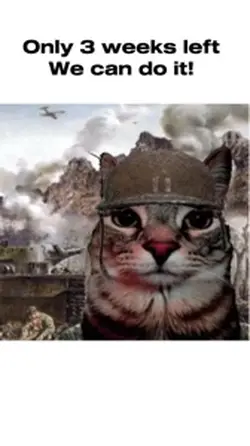 Come on soldier 