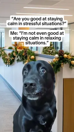 Calm? What’s That?