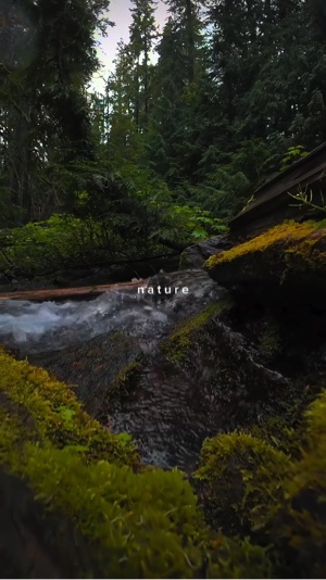Nature vibes