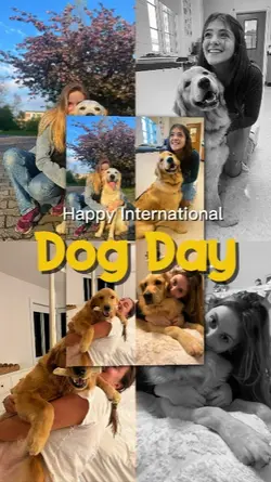 Dog Day 2026