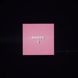 new viral