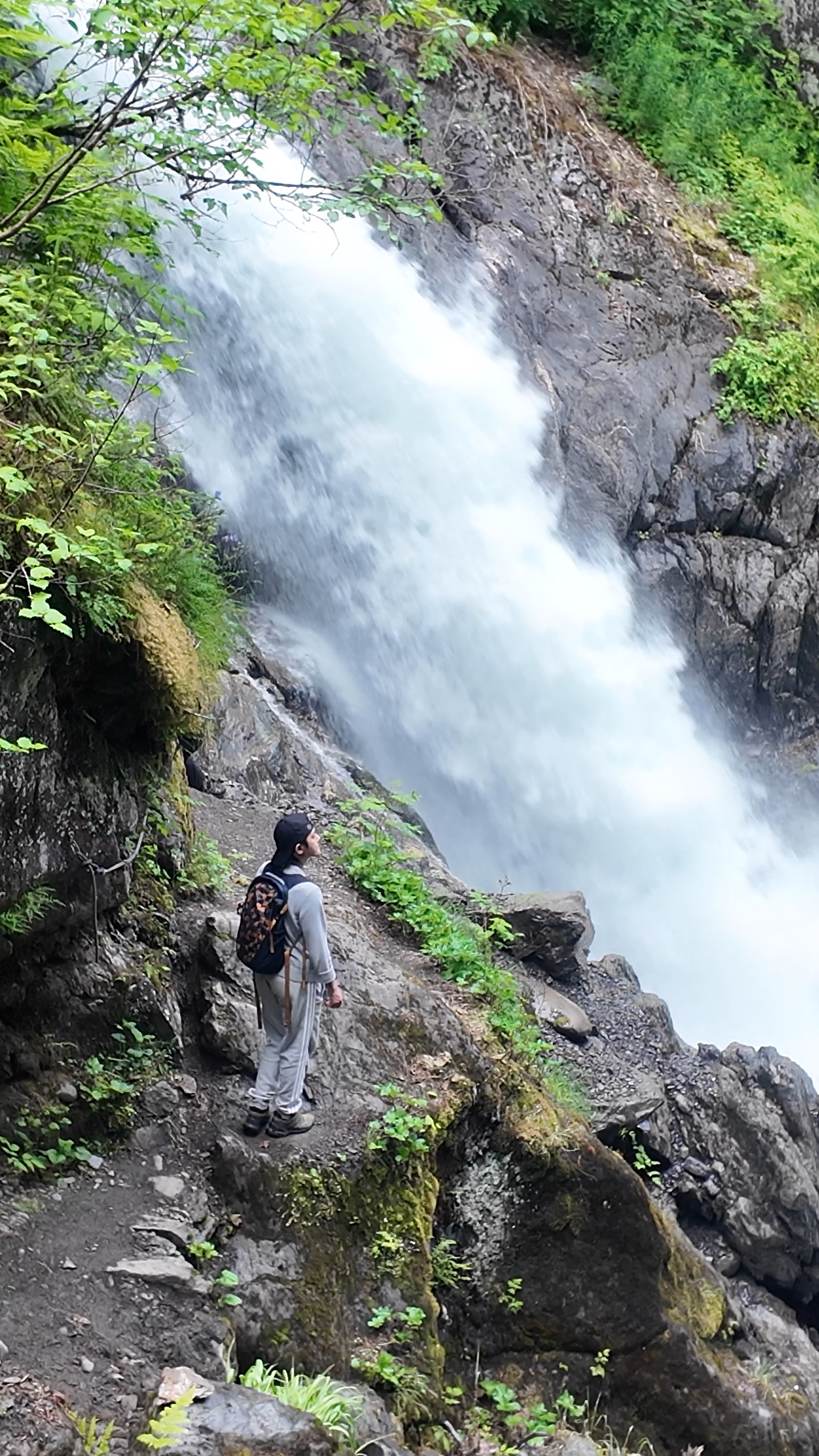 Chutes y Escalera