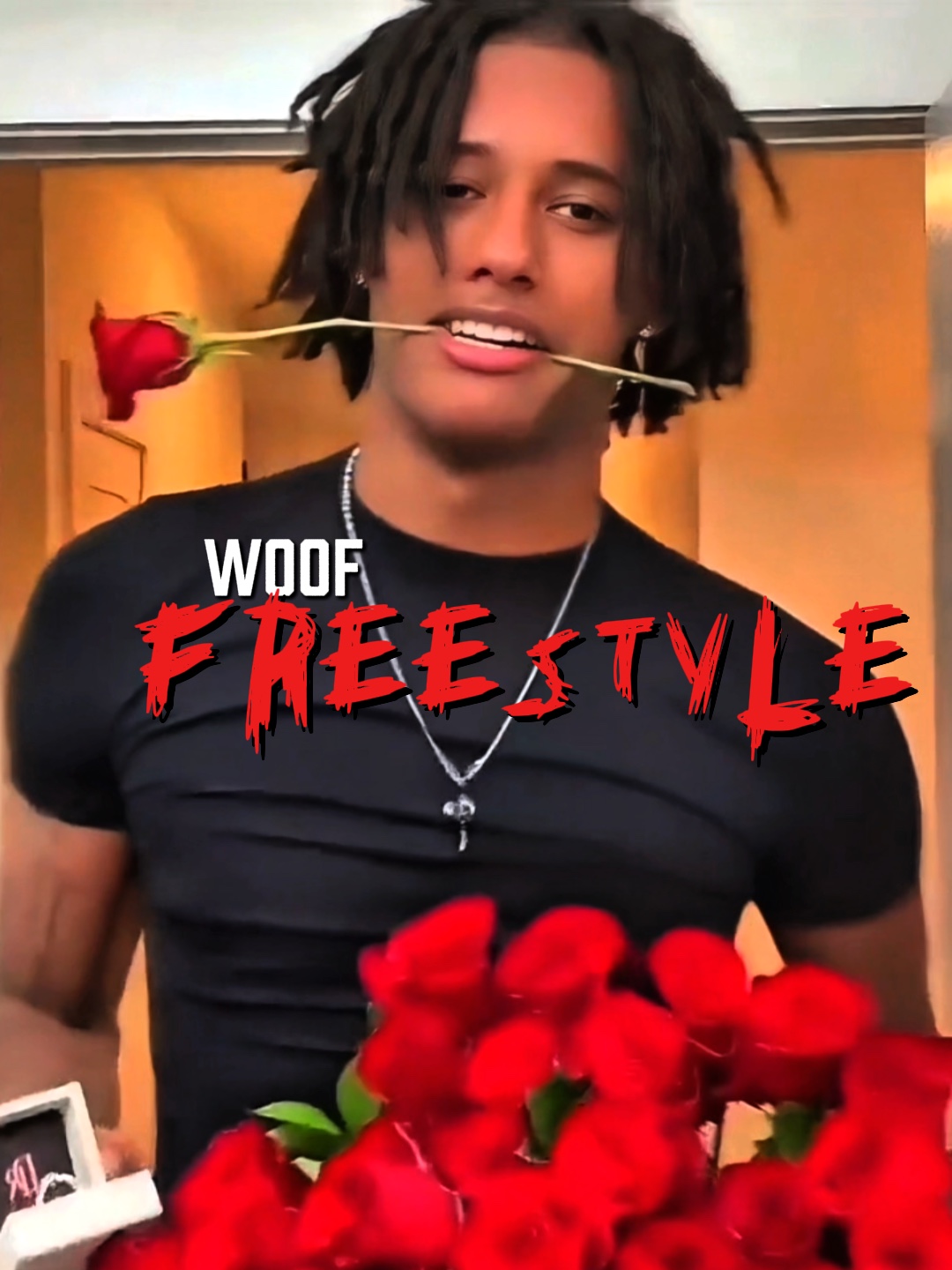 HOLZ FREESTYLE 