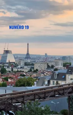 Numéro 19