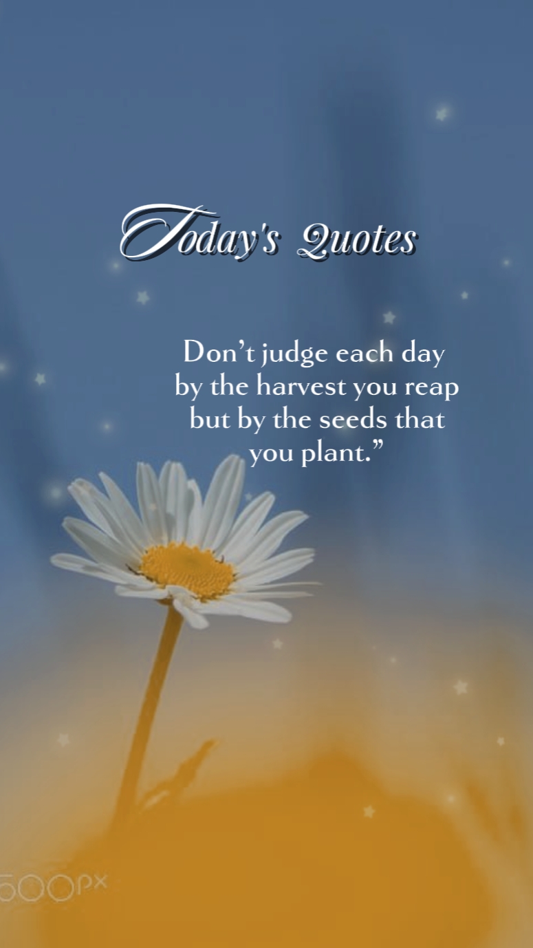 Today's quotes