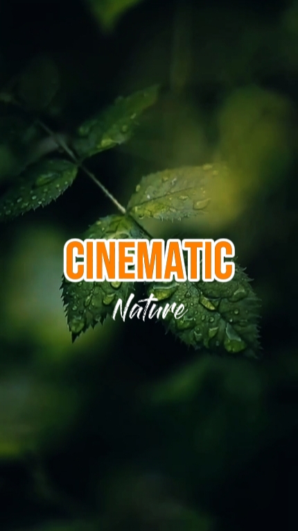 CINEMATIC Nature 