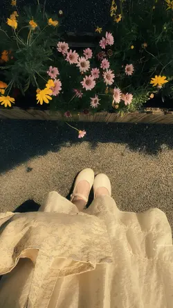 Dreamy 
