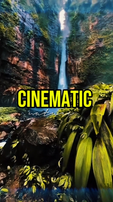 CINEMATIC NATURE 