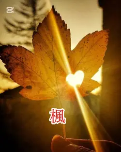 楓