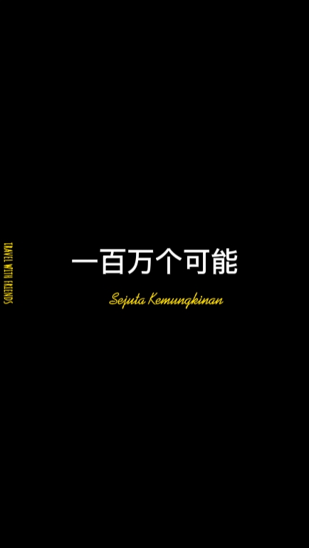 一百万个可能