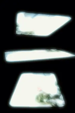 3d Template 3 pics