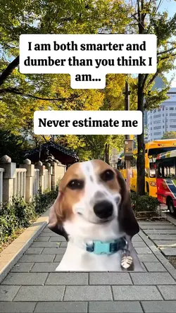 never estimate me