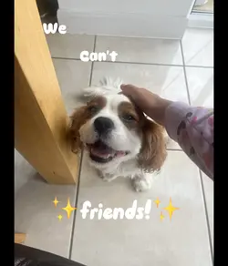 We can’t be friends!