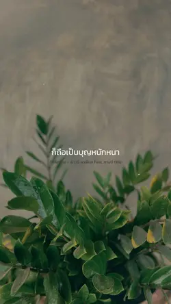 รักพิศวาส